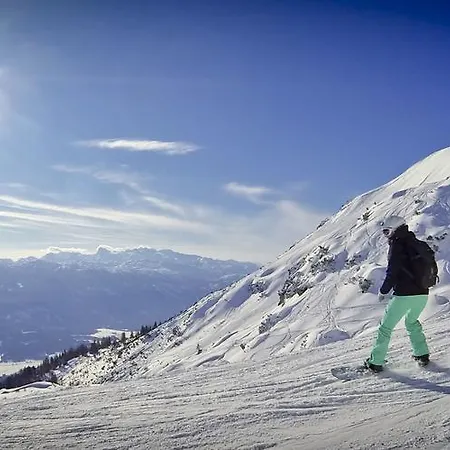 Domek alpejski Egghartguthuette