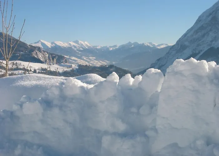 شاليه Egghartguthuette *